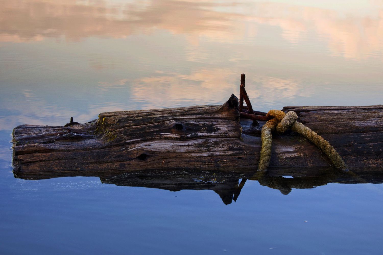 log floating in water during sunset in Florence oregon. log has old rope and anchors attached to it
