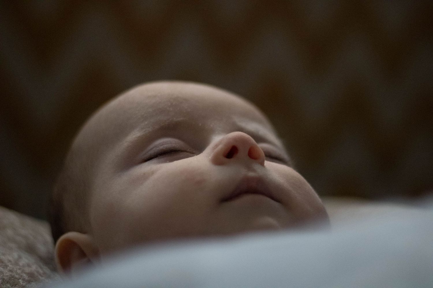Newborn photoshoot in Gosport by Maria Photography