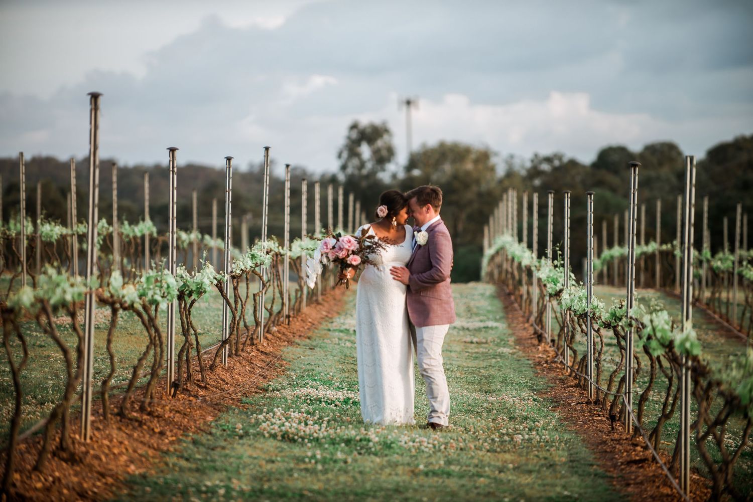 Couple poses together in vineyard with dormant grape vines creating leading lines in background.