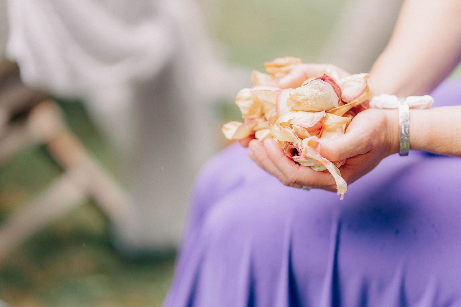 Delicate flower petals held gently in hands wearing a purple dress.