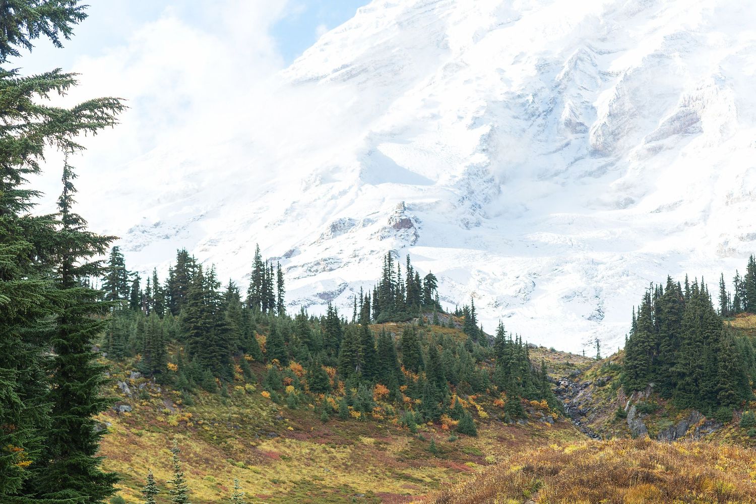 Snow-capped Mount Rainier rises above evergreen forests and autumn meadows under cloudy skies in Washington State.
