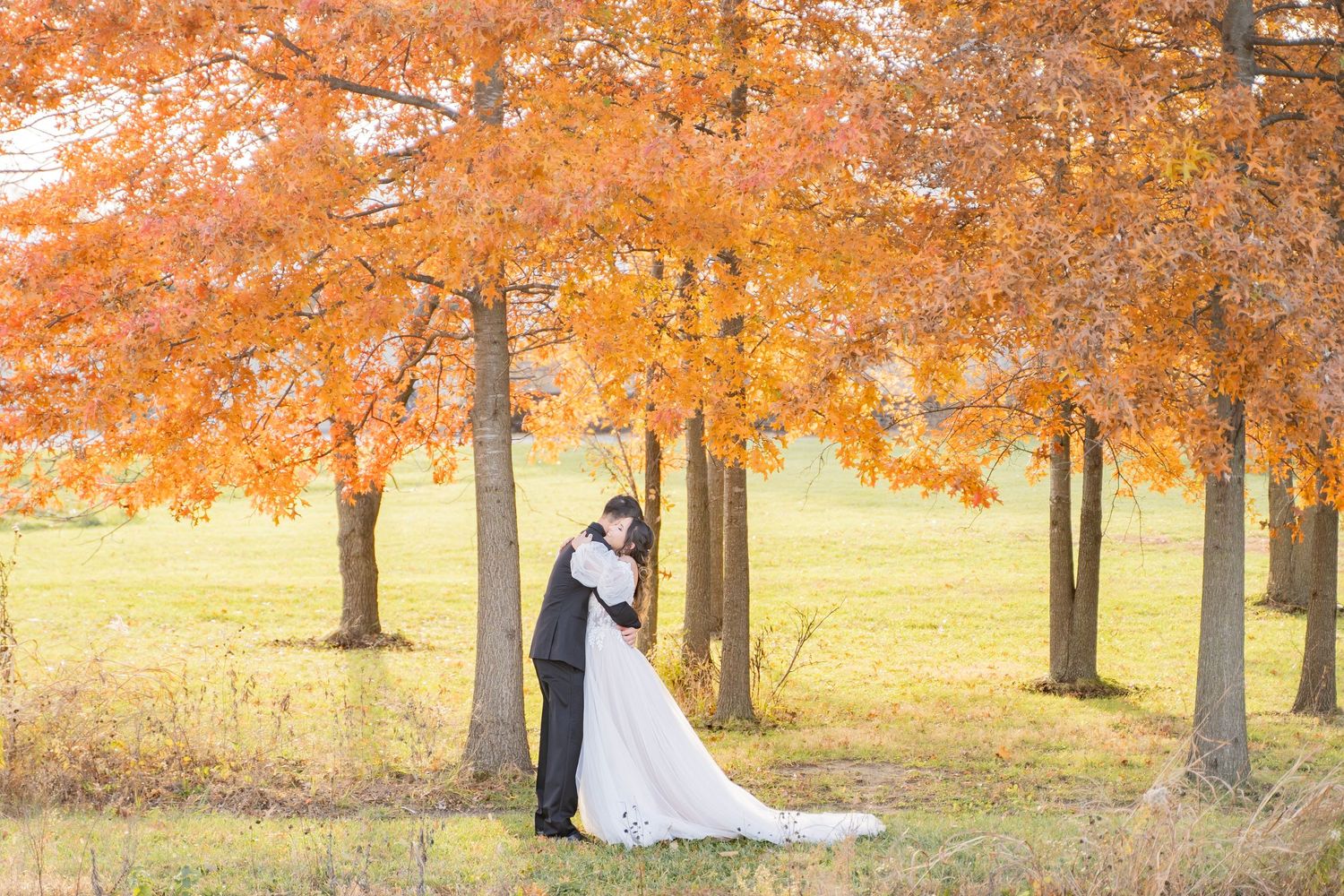 Romantic bride and groom embracing under vibrant orange autumn foliage trees in golden fall landscape.