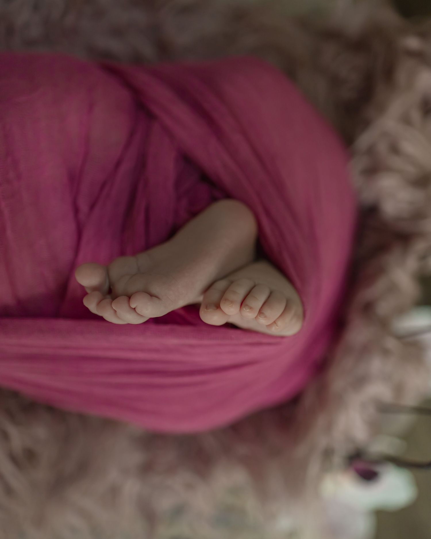 Tiny baby feet peek out from pink fabric in a dreamy newborn portrait.