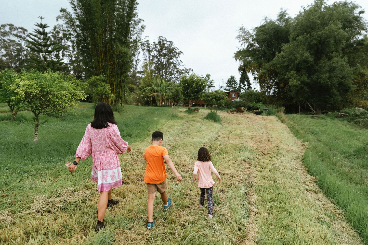 Vue de dos d'une famille marchant à travers un sentier herbeux, entourée d'arbres, incarnant la transmission et les moments partagés