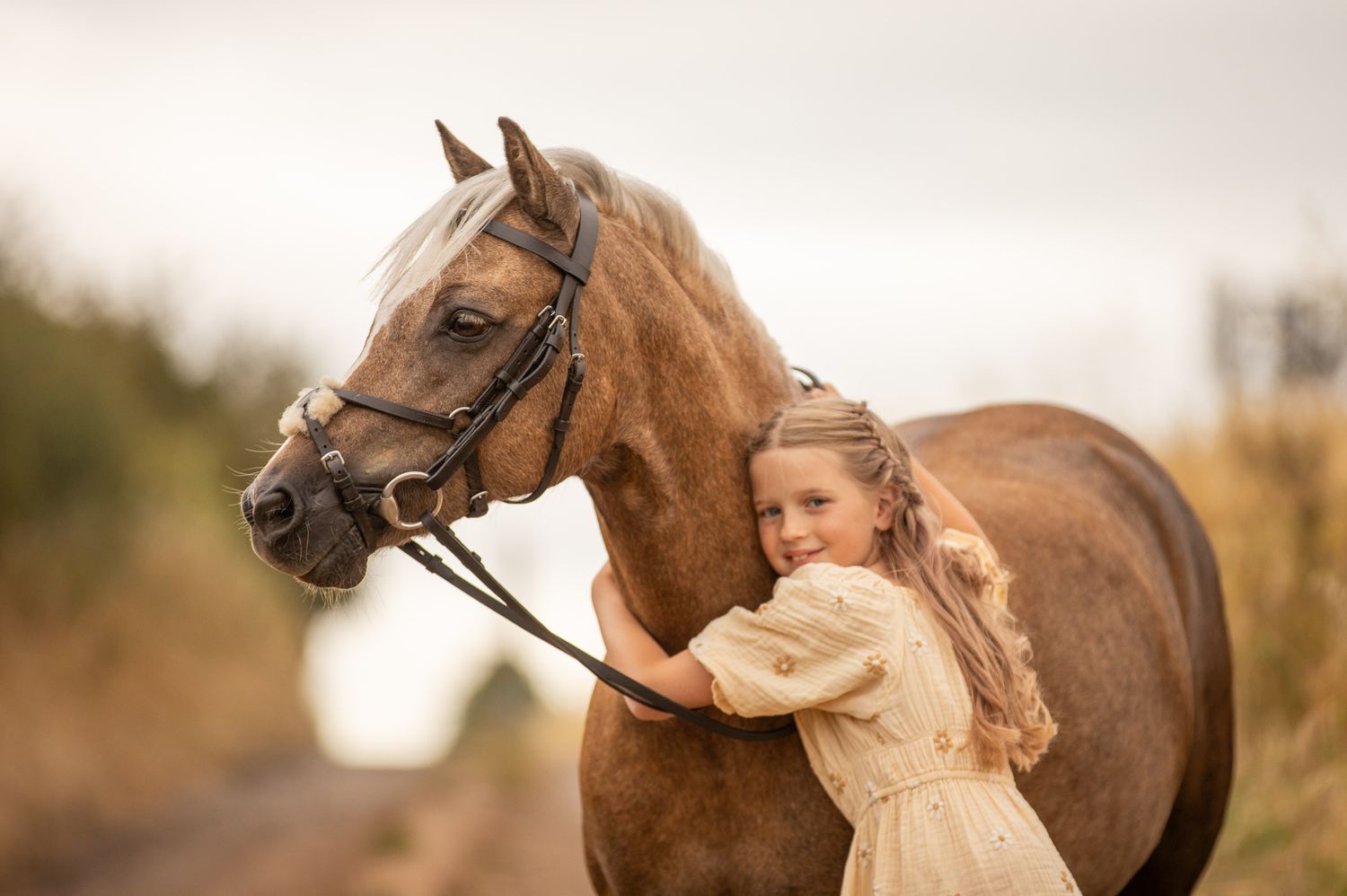 A brown horse with bridle stands patiently in warm autumn light.