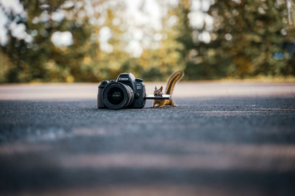 Why Quality Photography Is an Investment, Not an Expense - Jennifer ...
