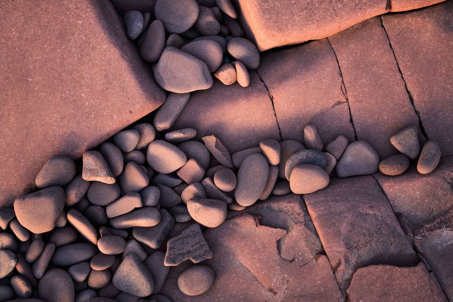 Smooth river rocks scattered across cracked clay surface at sunset creating dramatic shadows and texture.