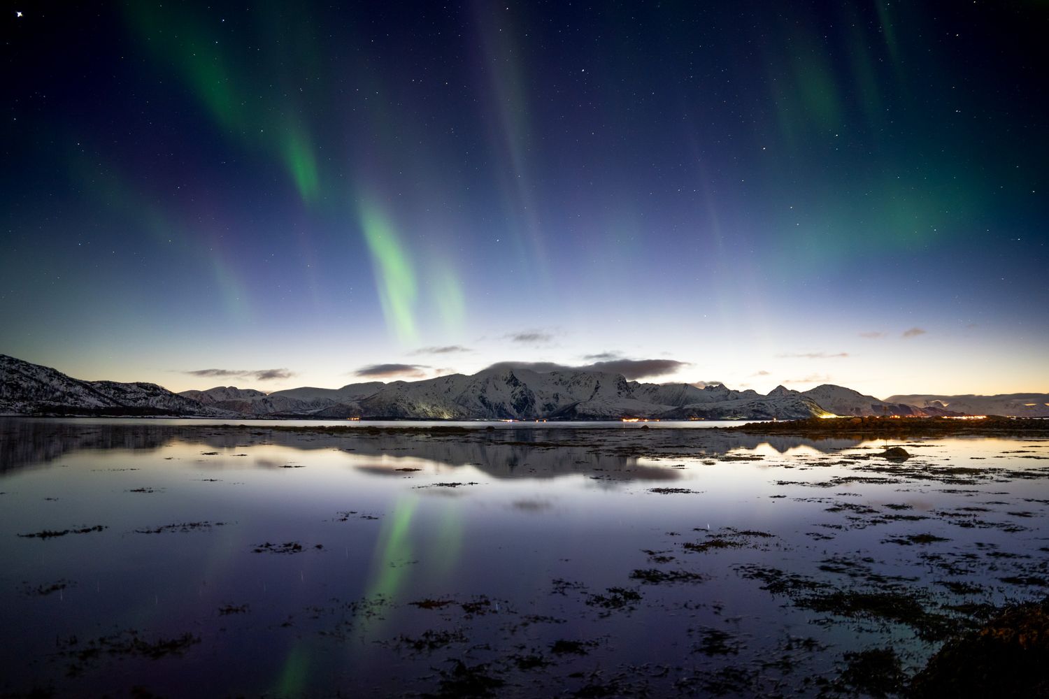 aurores boréales se reflétant dans un lac en norvège dans les iles lofoten avec montagnes enneigées