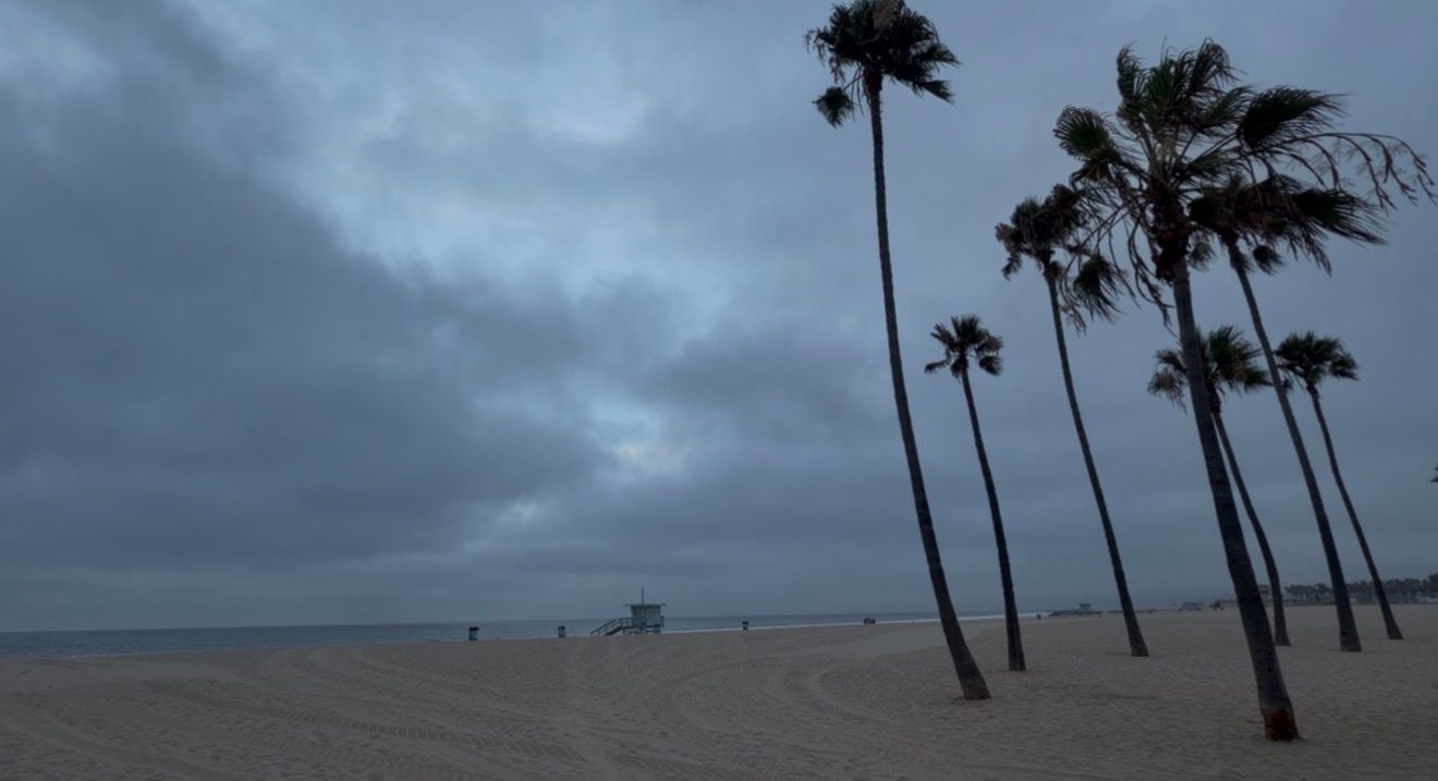 Stormy cloudy sky over sandy beach with tall palm trees swaying in wind, lifeguard tower visible in background.