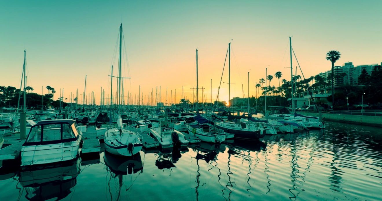 Sailboats docked at a marina during golden sunset, calm water reflections, palm trees in background.