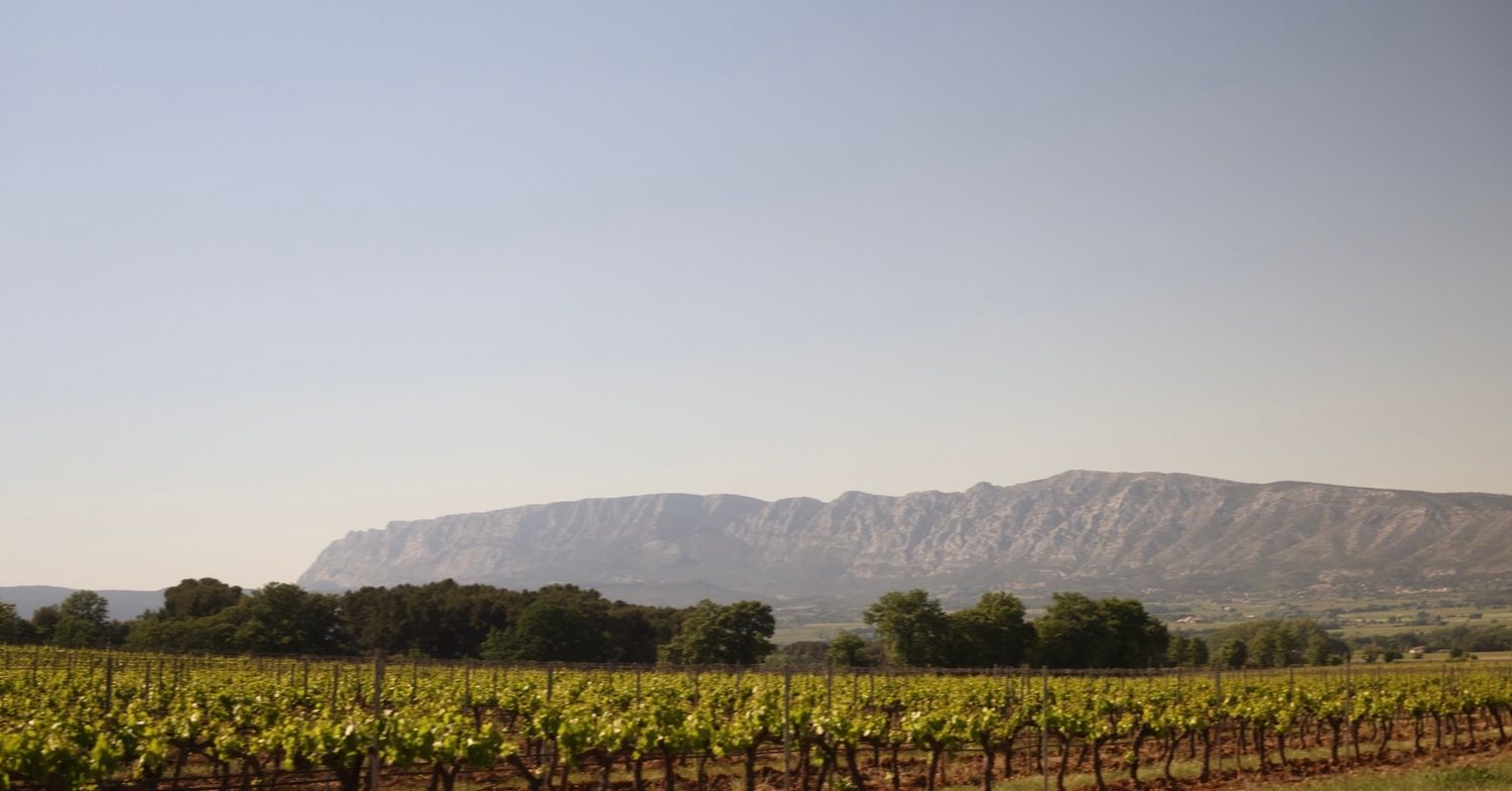Champ de vignes en Provence avec la Sainte-Victoire sous un ciel nuageux