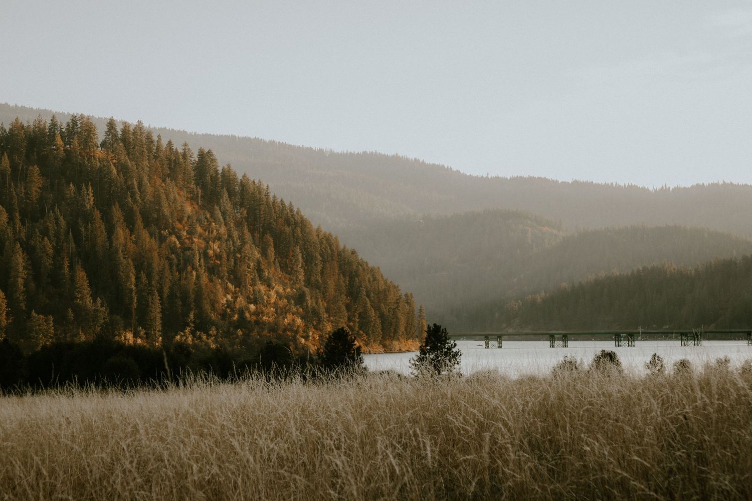 Autumn landscape with golden grass, a serene lake, and forested mountains in soft evening light.