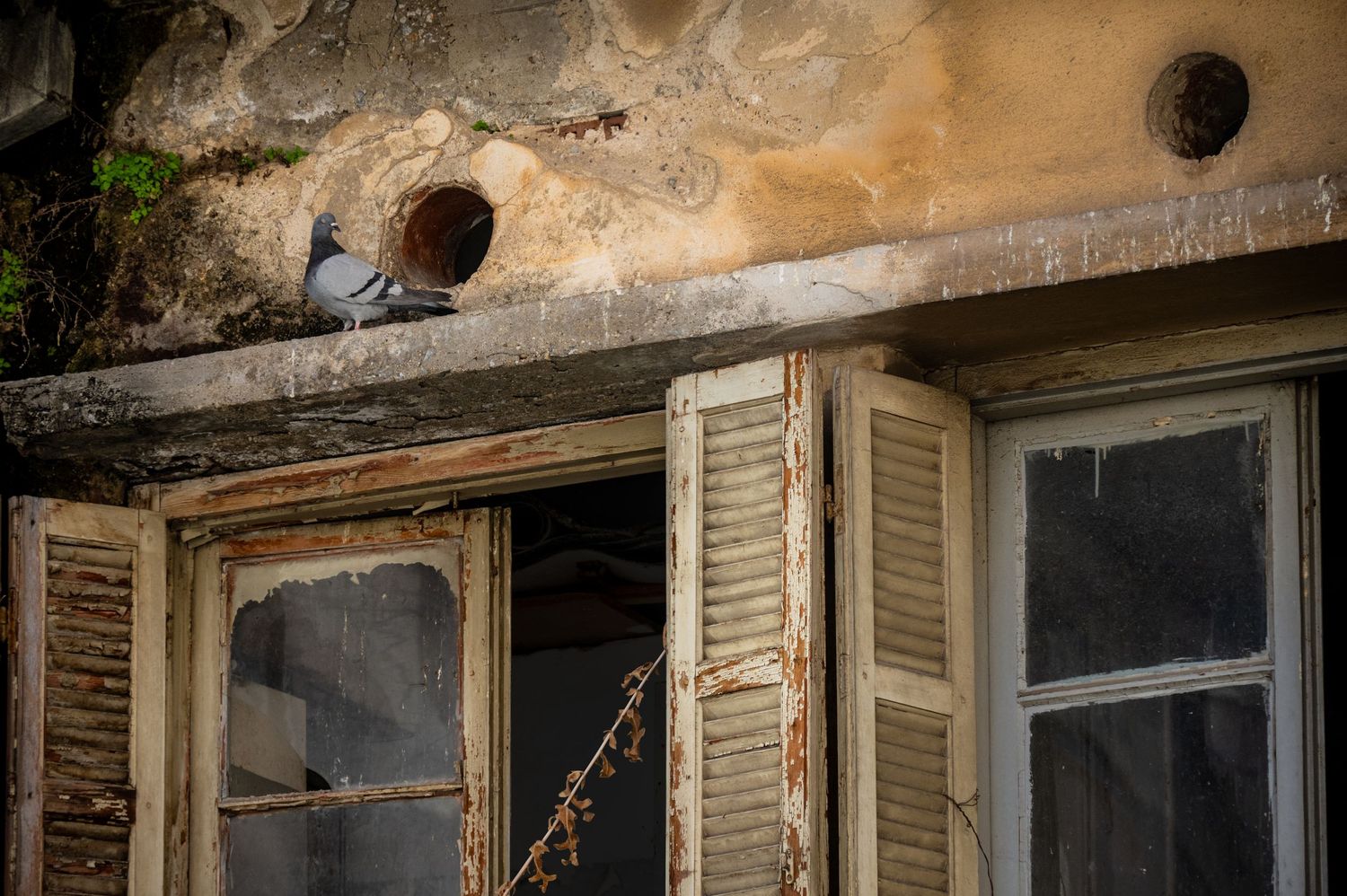 Deteriorating wooden shutters and windows on an old abandoned building show signs of decay and weathering.