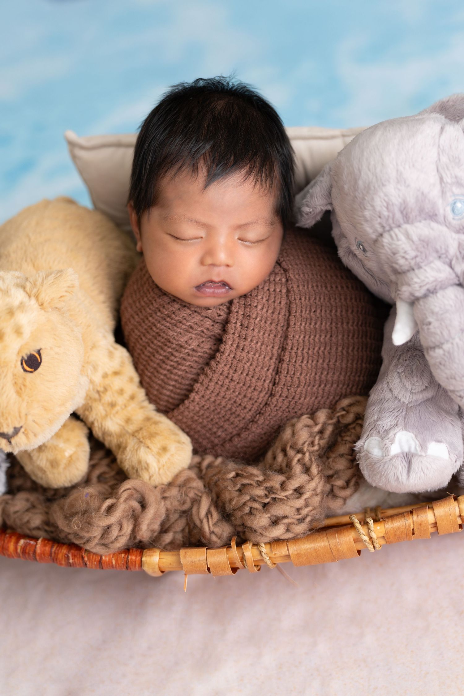 Newborn photography in Dubai showing a baby posed safely with a family pet during a professional newborn photoshoot at a photography studio.