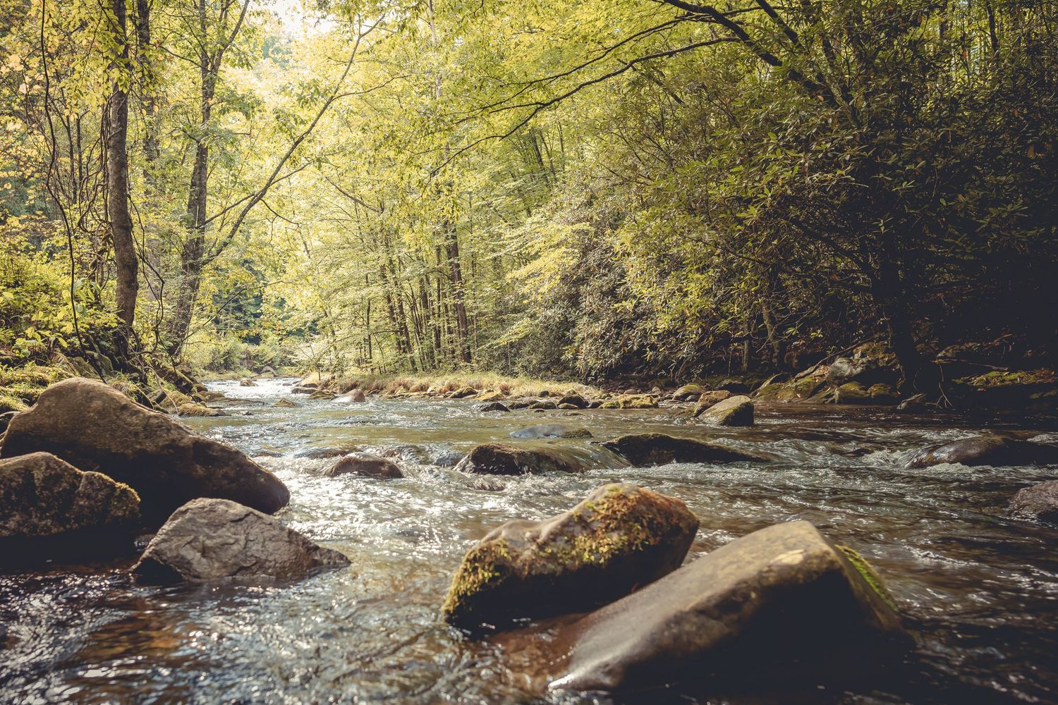 north carolina blue ridge parkway river