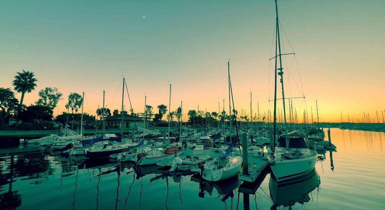 Panoramic view of sailboats moored at a marina during sunset with palm trees silhouetted against an orange sky.