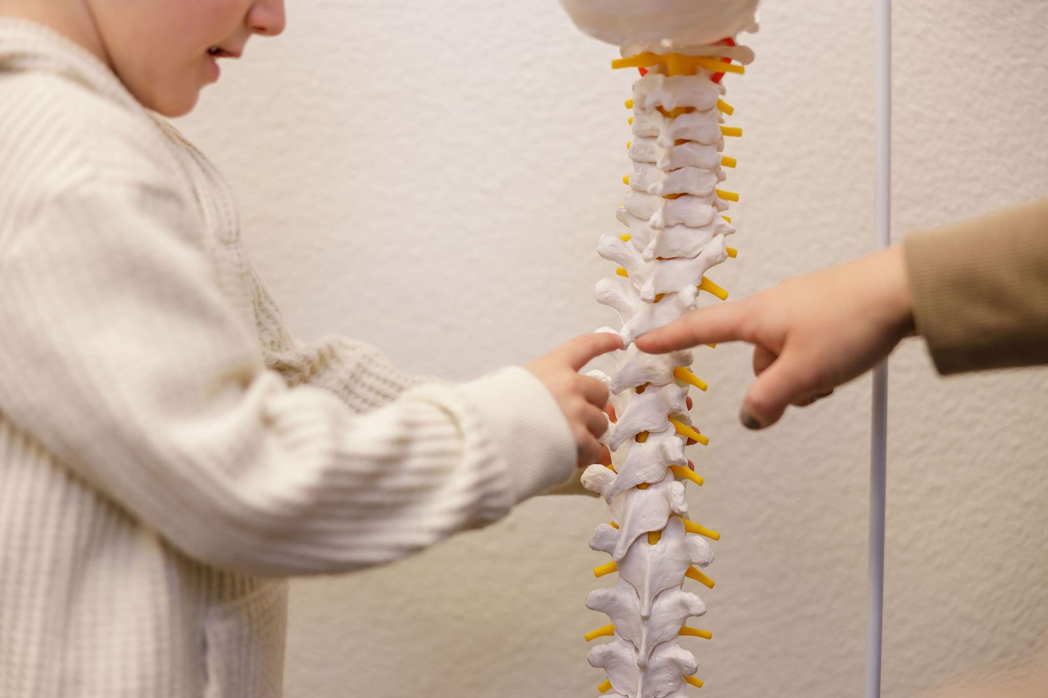 chiropractor branding photo in Sumner, WA wellness health man pointing at skeleton vertebra talking to young boy to education and comfort