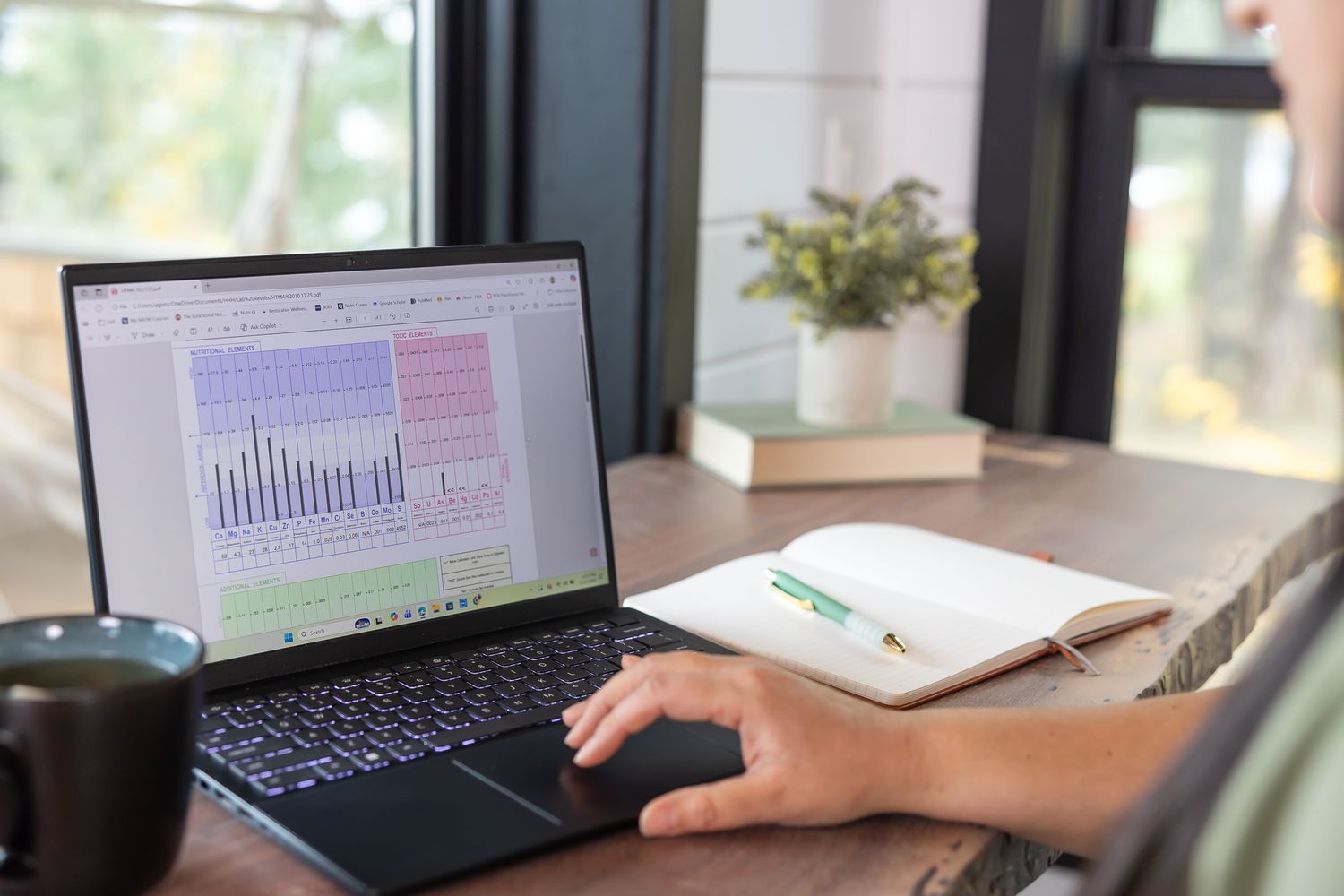woman nutritionist with hand on laptop while looking over mineral levels chart from client's lab work blood draw in Seattle, WA