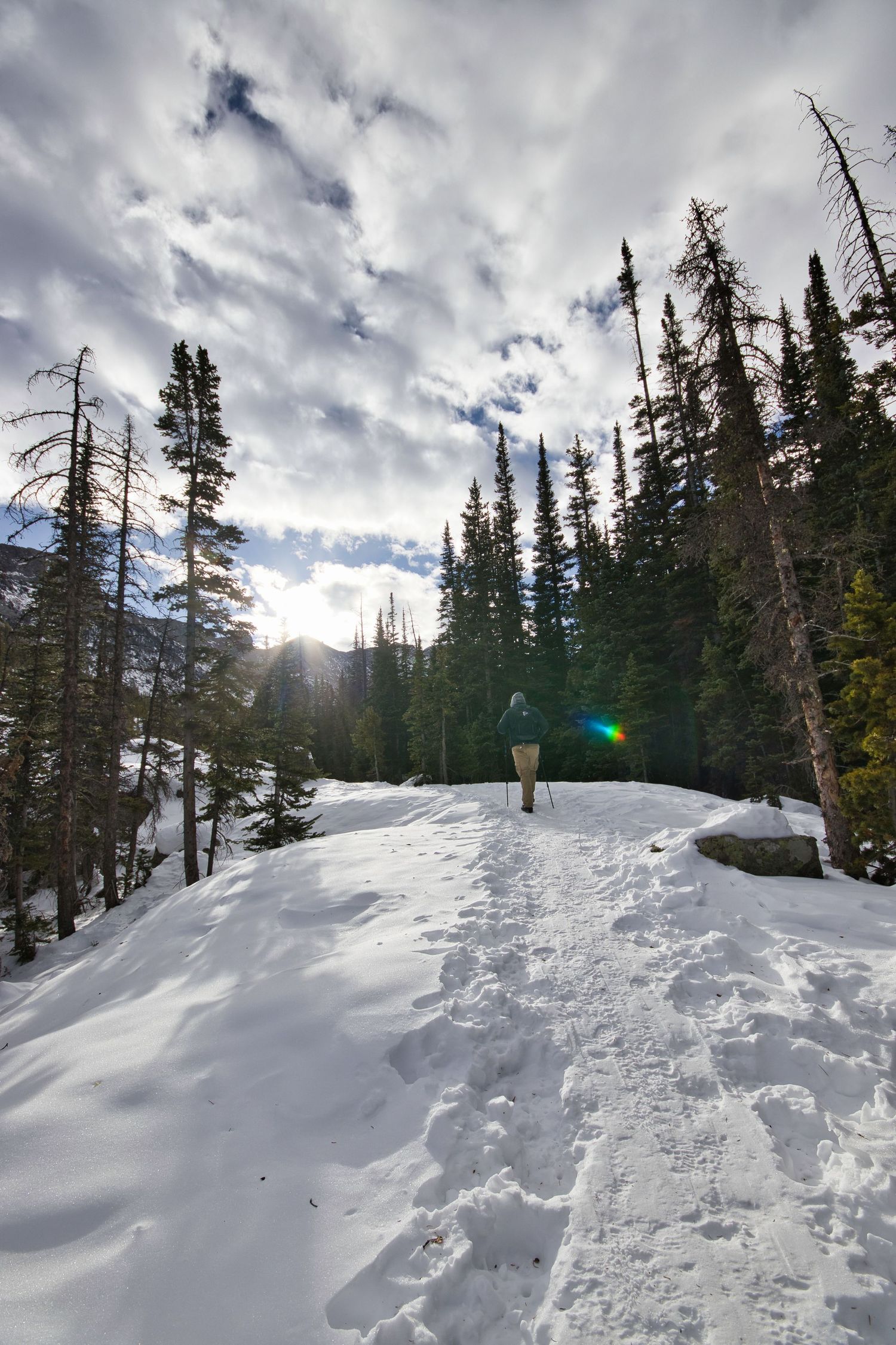Snowy trail and towering alpine trees along the Mills Lake Trail in Rocky Mountain National Park. Pixcapades