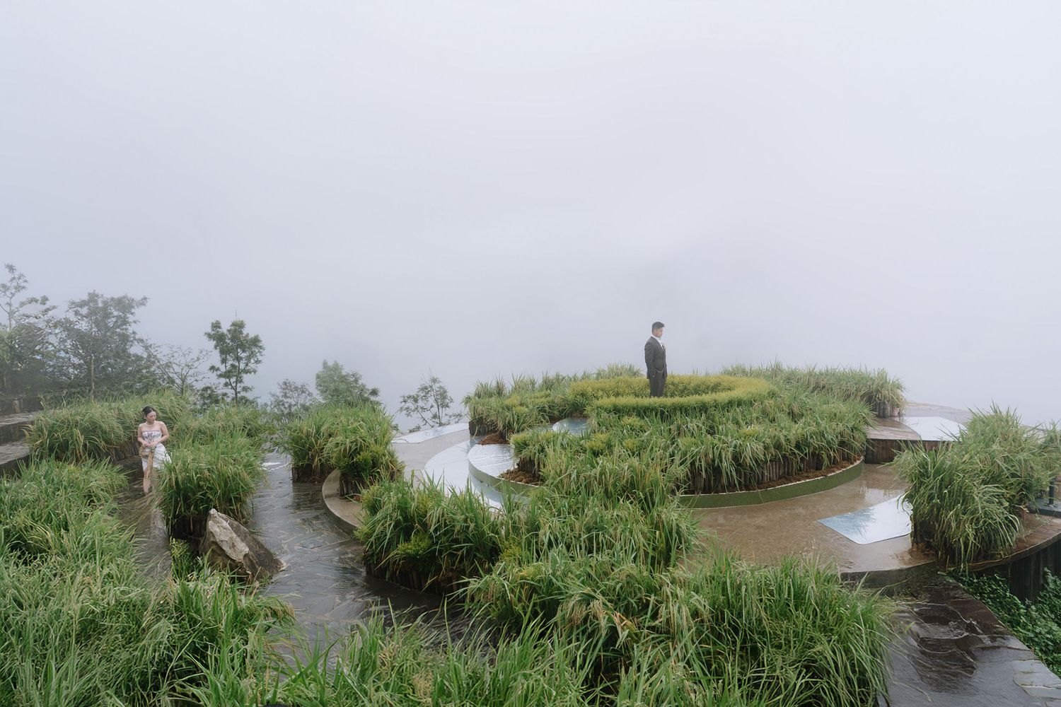 Misty terraced rice field landscape with visitors exploring lush green agricultural gardens.