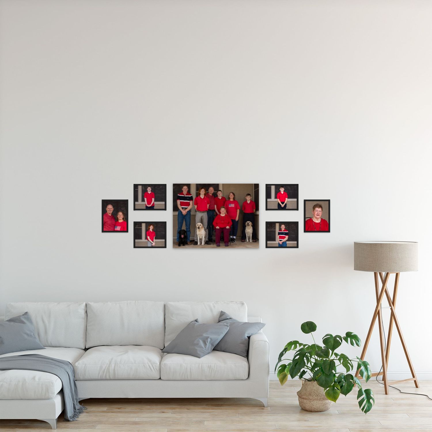Modern minimalist living room with white sofa, picture frames on wall, and indoor plant in clay pot.