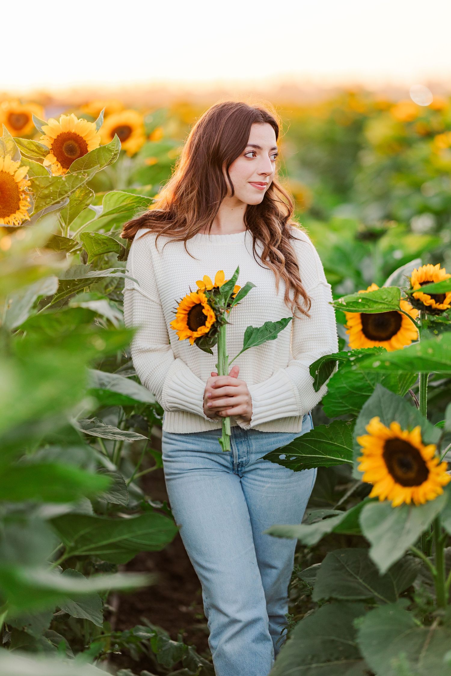 A person in a cream sweater and jeans stands in a sunflower field at golden hour holding a sunflower stem.