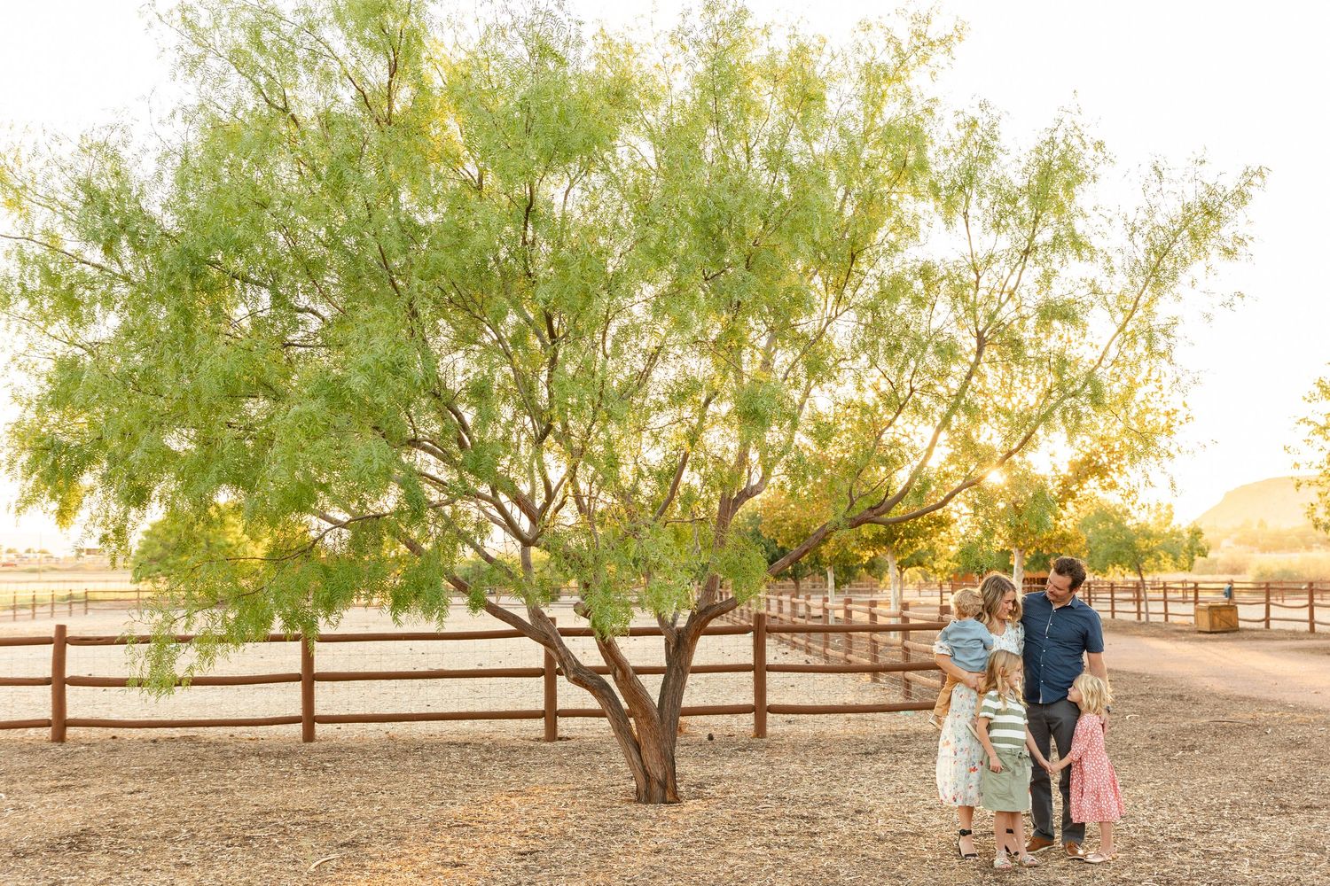 St. George utah a large beautiful tree with glowy light behind a family with 3 young kids. with fences and a farm in the background