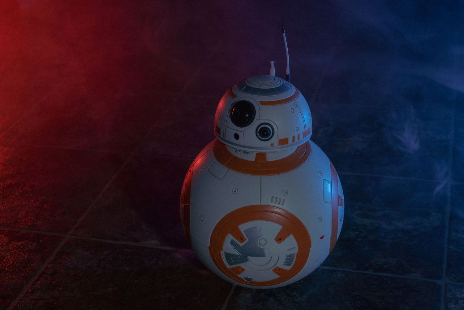 BB-8 cosplay photoshoot
Star Wars cosplay photography
droid cosplay portraits
sci-fi cosplay photoshoot