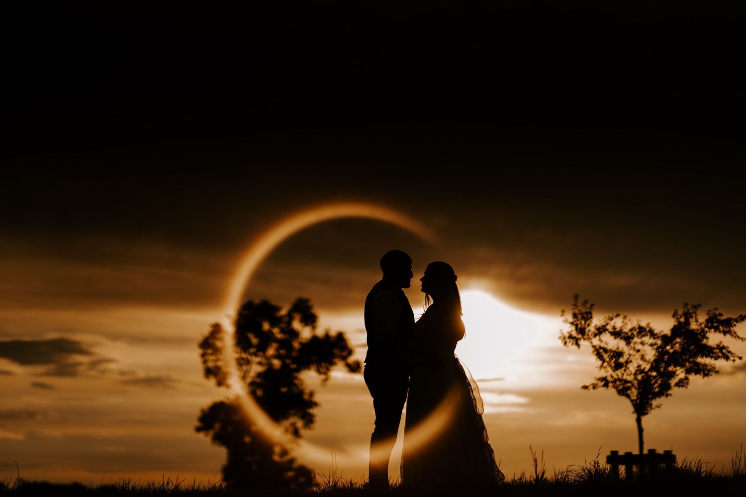 Romantic silhouette of couple embracing against dramatic sunset sky with trees in foreground.