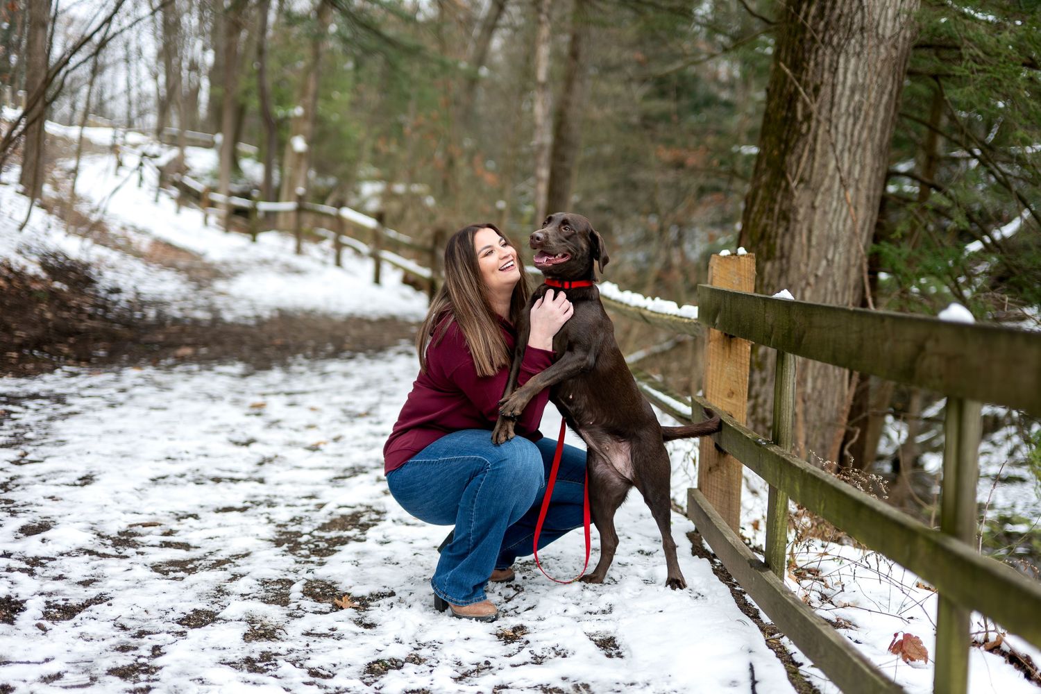 Woman crouching with chocolate Labrador on snowy wooded trail beside wooden fence.