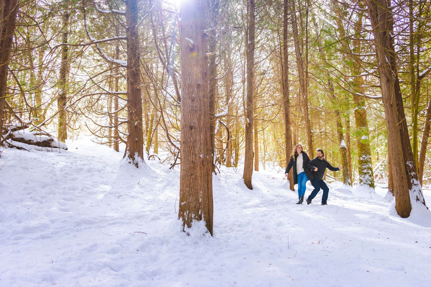 Two figures walk along a snowy forest path in winter sunlight.