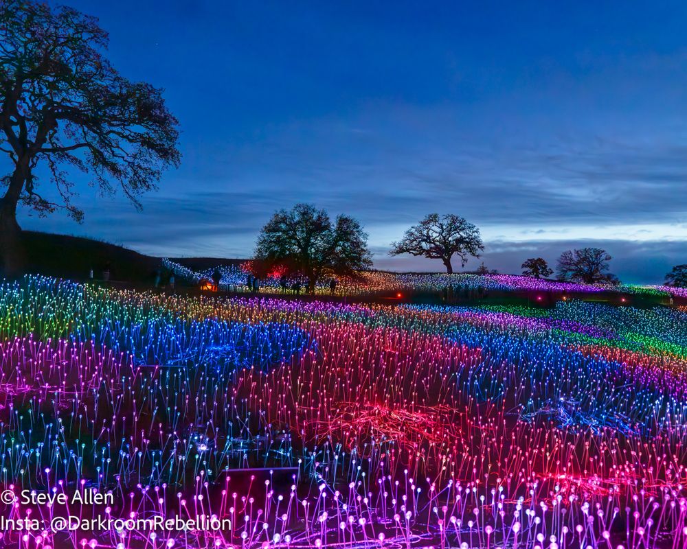 Sensorio Field of Light in Paso Robles