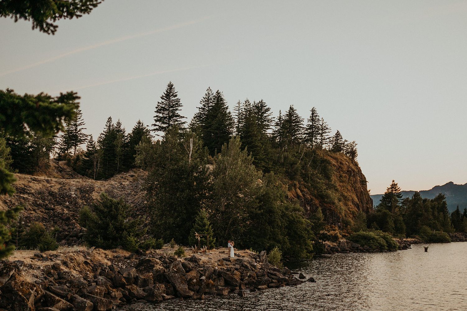 Panoramic landscape view of evergreen trees and rocky coastline at sunset.