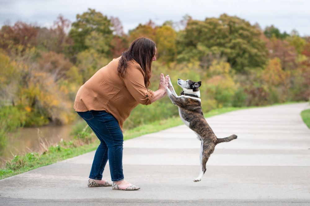 Tips To Help You Prepare For Your Pet Photography Session - Kelly J ...
