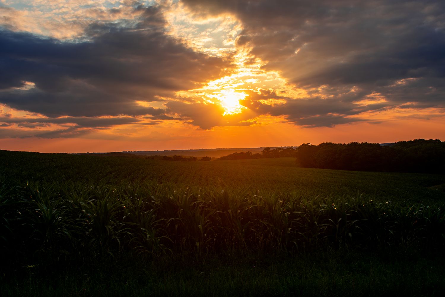 Dramatic orange sunset over a dark silhouetted field with vibrant clouds in the sky.