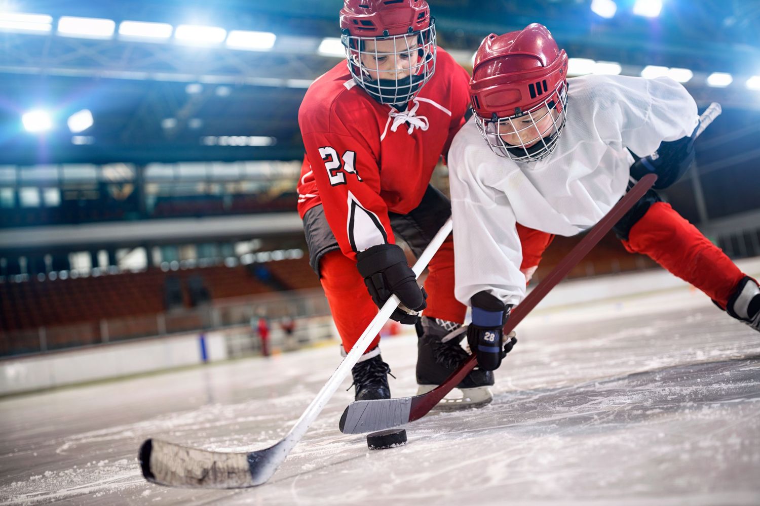 Two hockey players battle for control of the puck during an intense ice hockey match.