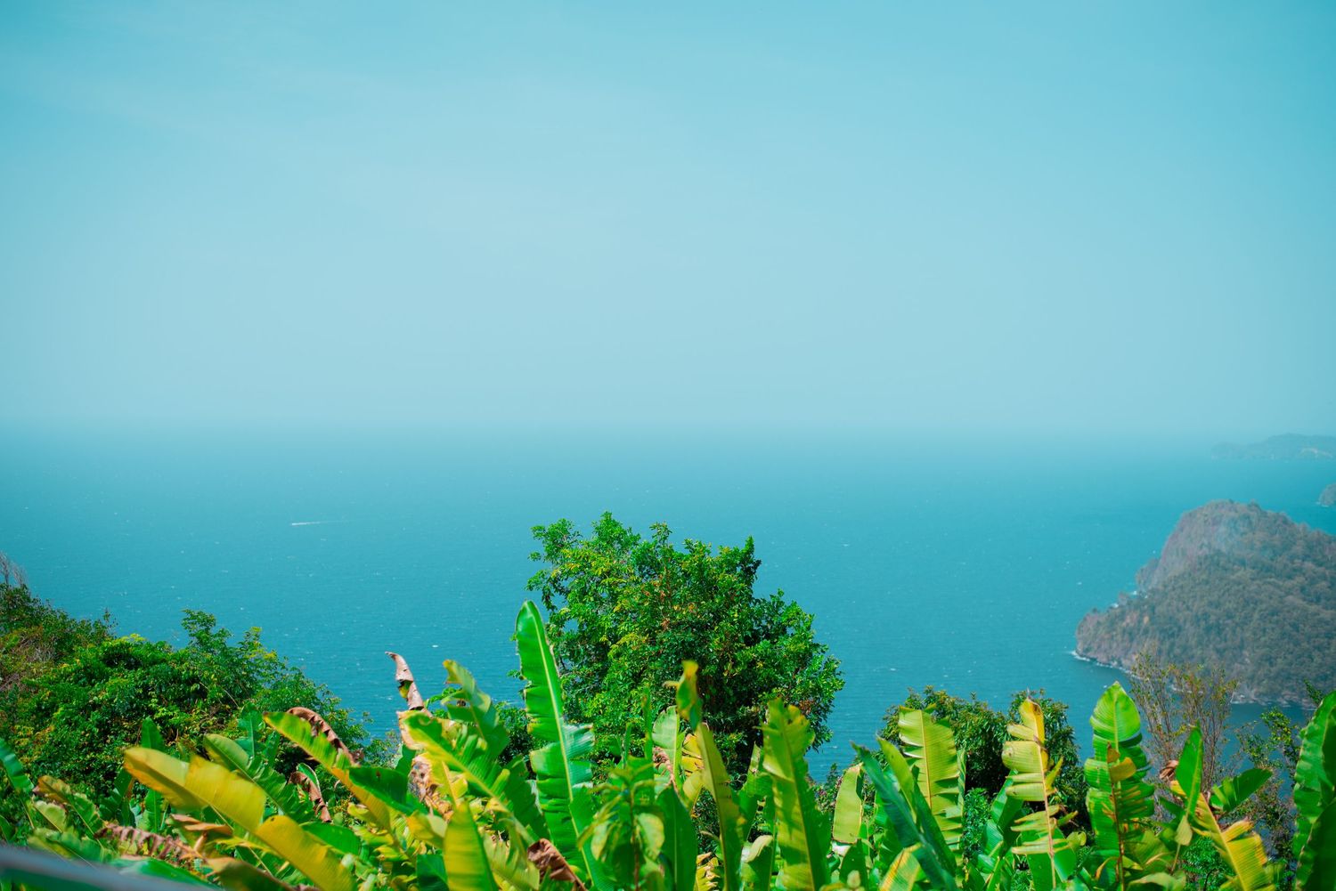 Scenic coastal landscape with bright blue sky and lush green vegetation.