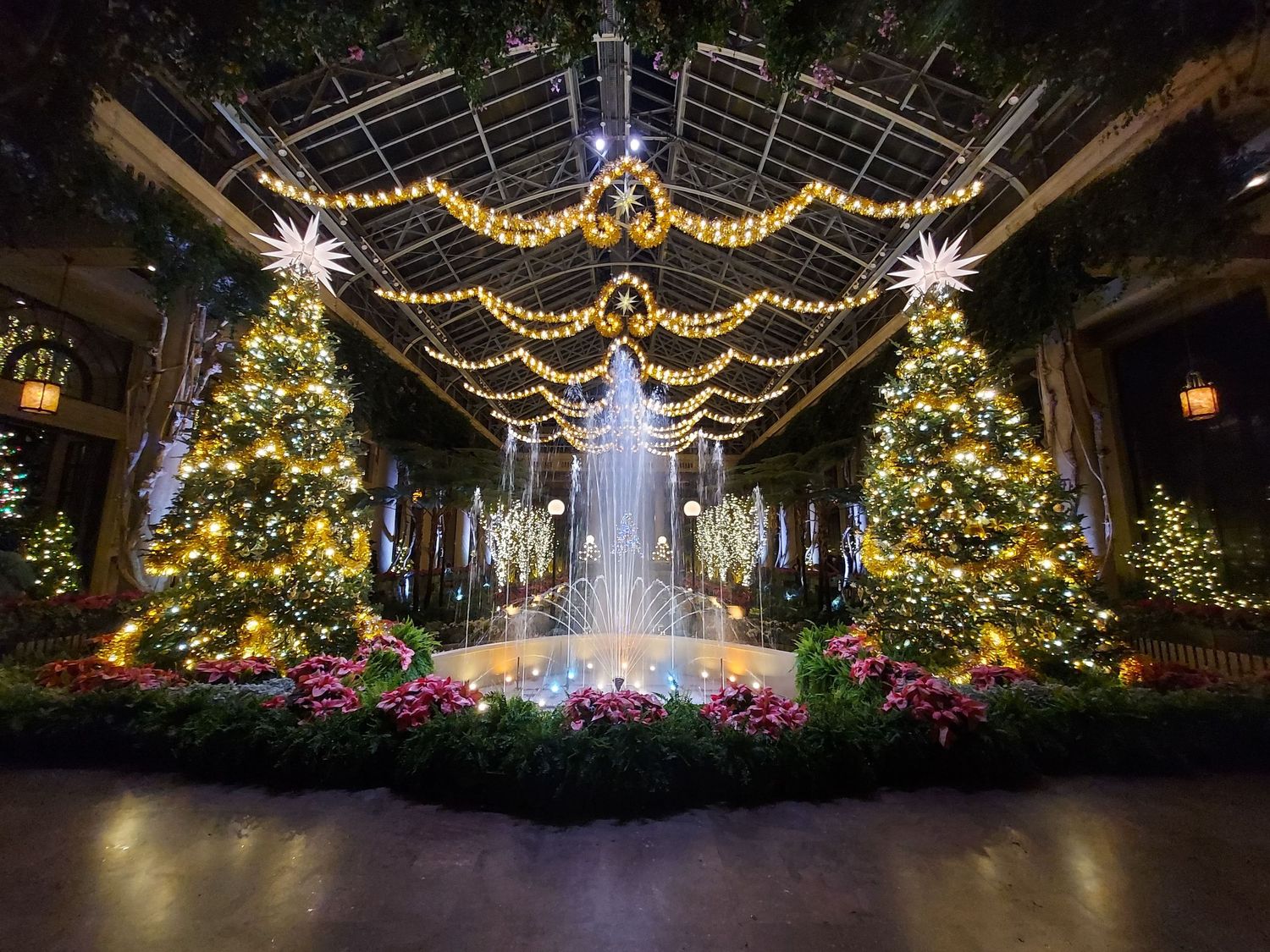 Festive indoor garden display with illuminated trees and fountain surrounded by holiday lights.
