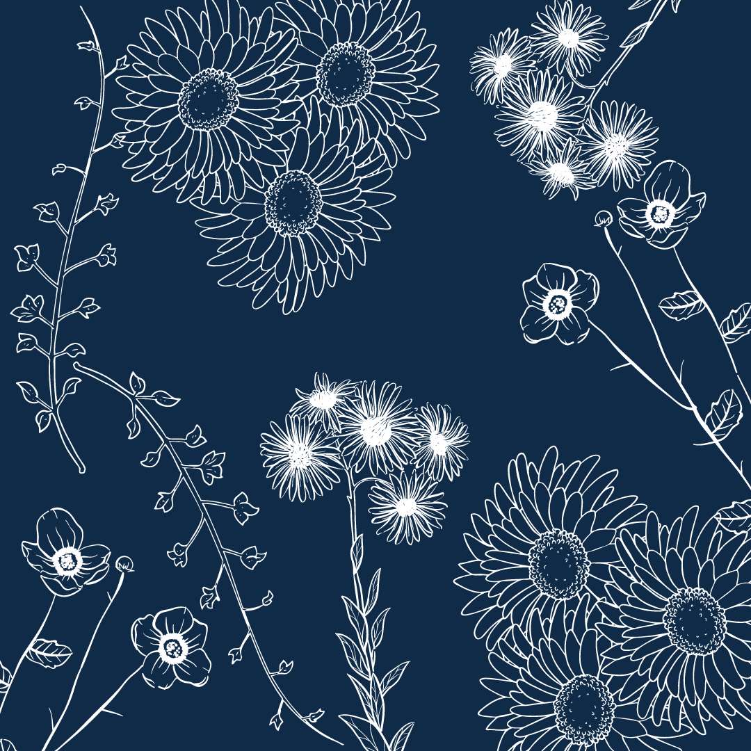 Navy blue floral pattern with white line art of daisies and wildflowers.