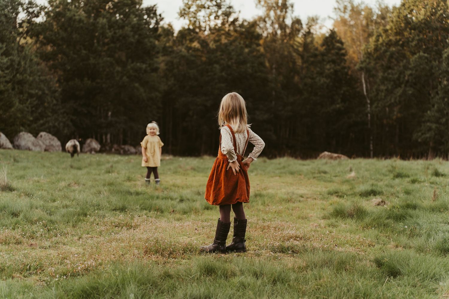 Children playing in a grassy field surrounded by autumn trees at sunset.