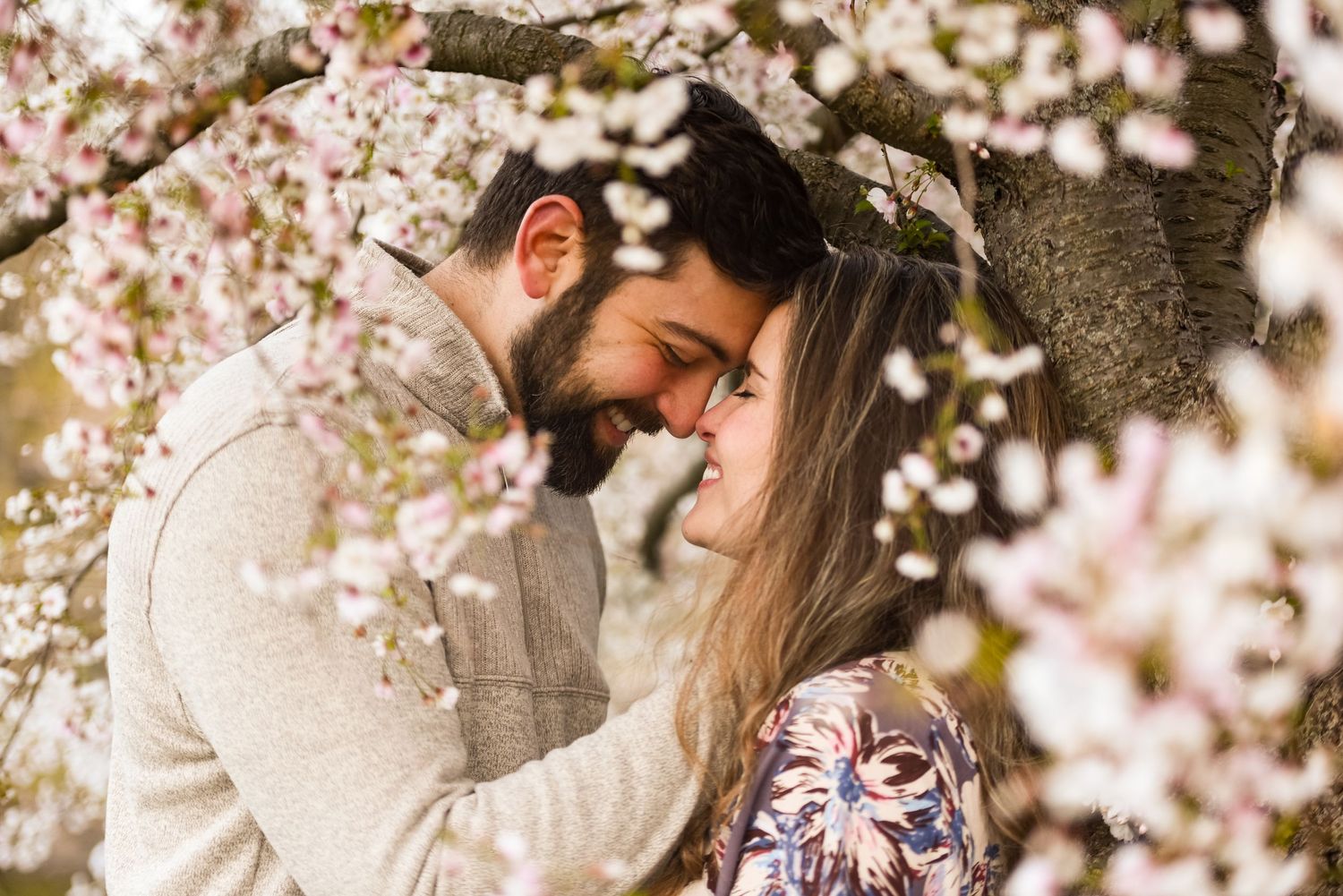 Engagement portraits Charles River Esplanade Boston pink spring flowers Leah Ramuglia Photography