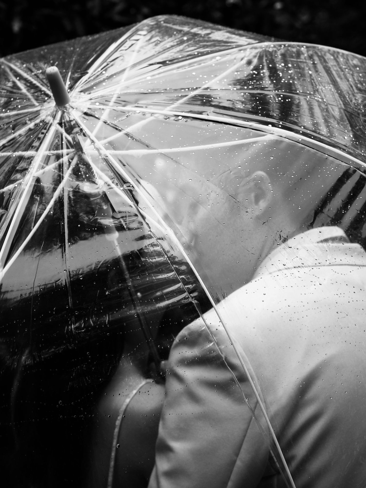 Black and white photo of couple kissing under clear umbrella in the rain.