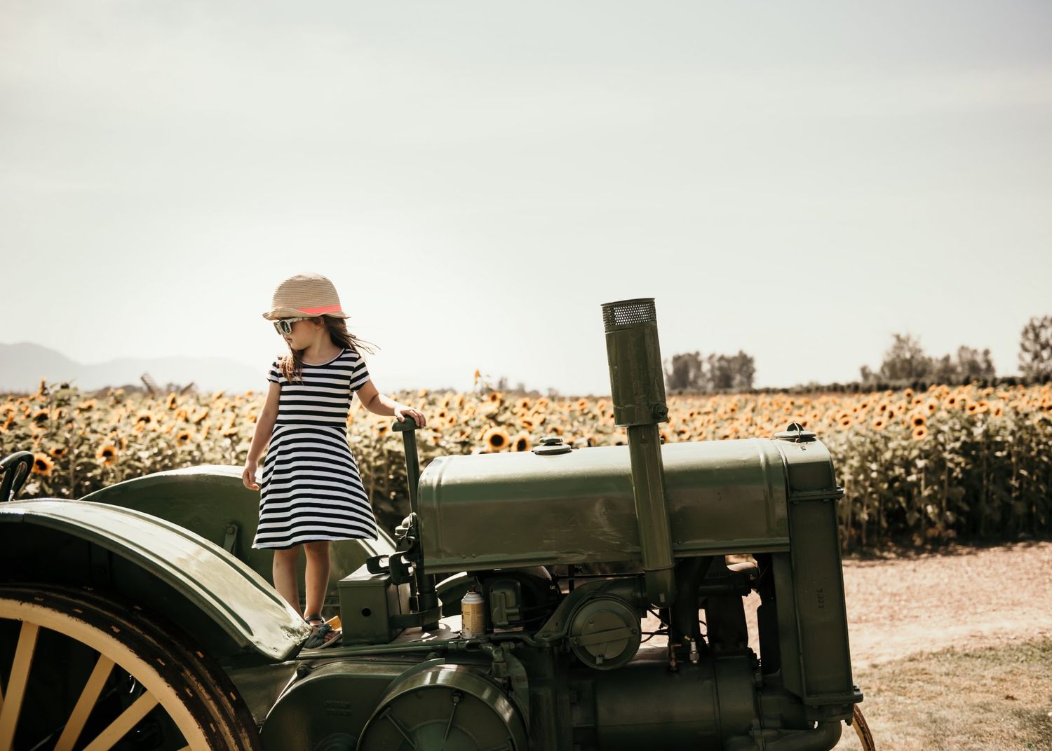 A rustic vintage green tractor parked near a field of flowers on a sunny day.