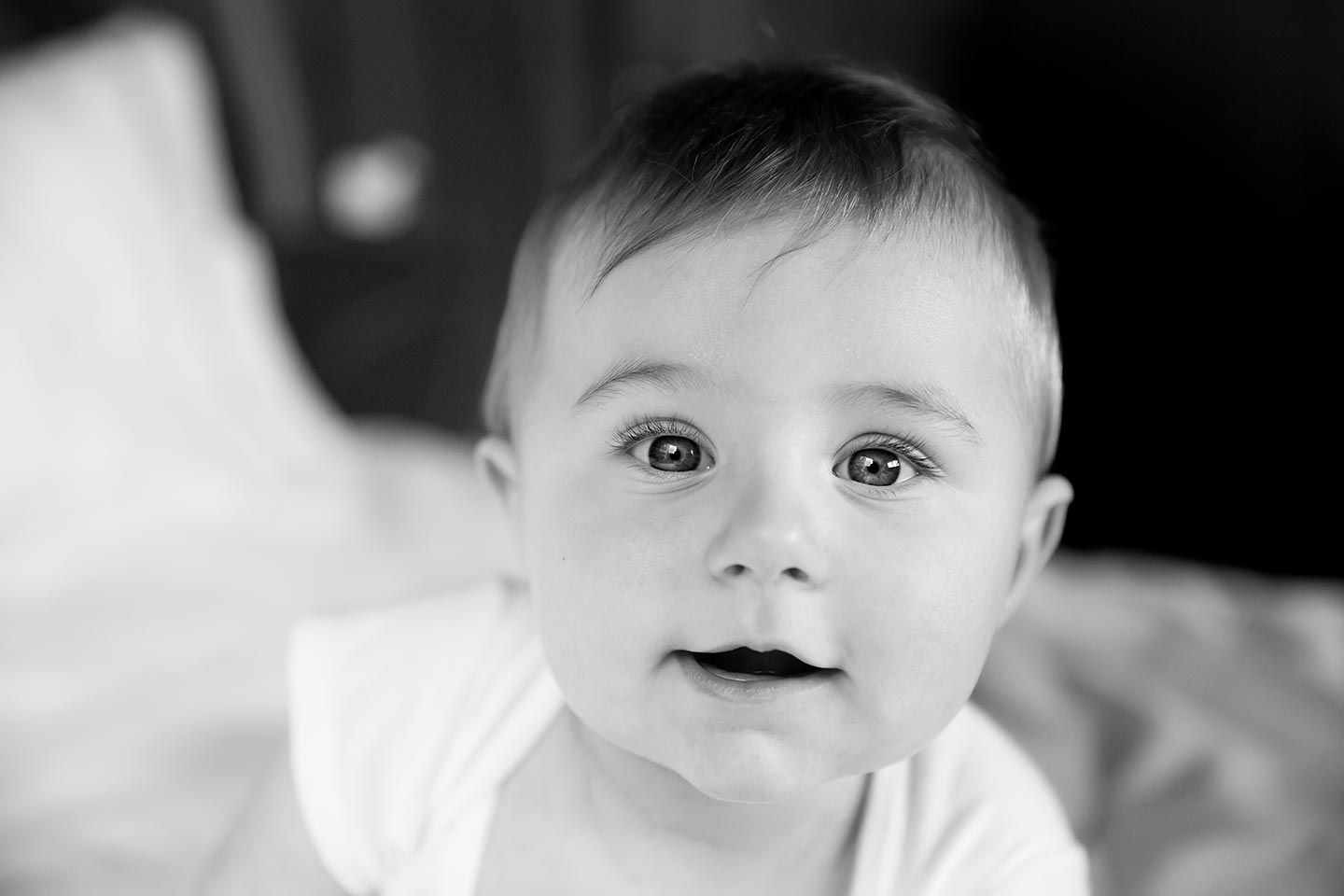 black and white image with 6 mos old baby boy looking right into the camera