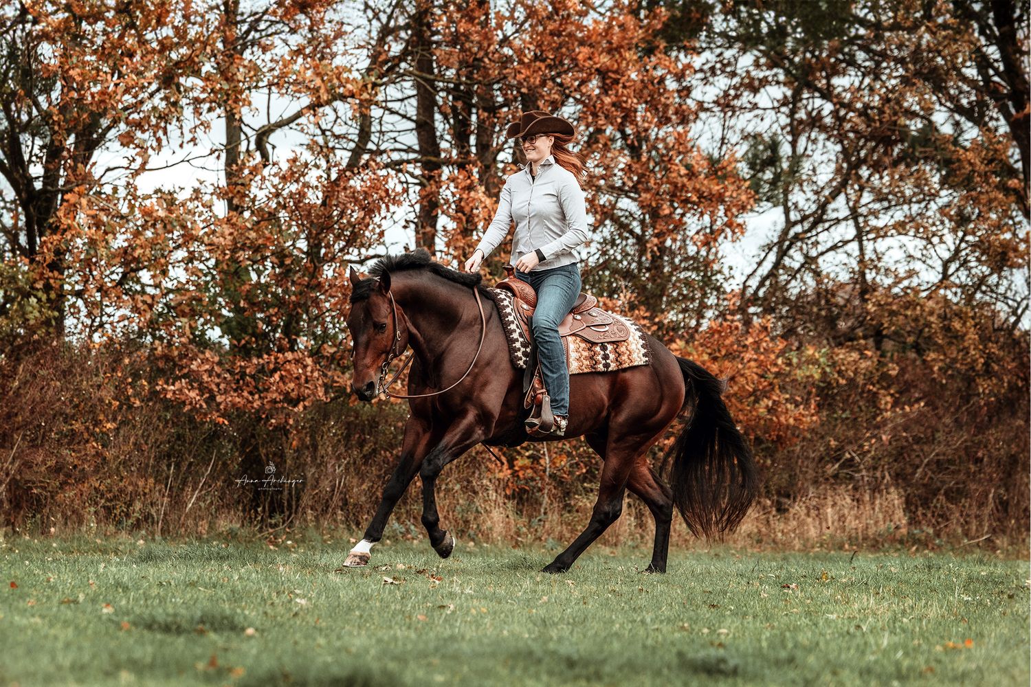 Horse and rider traverse an autumn field with orange foliage in background.