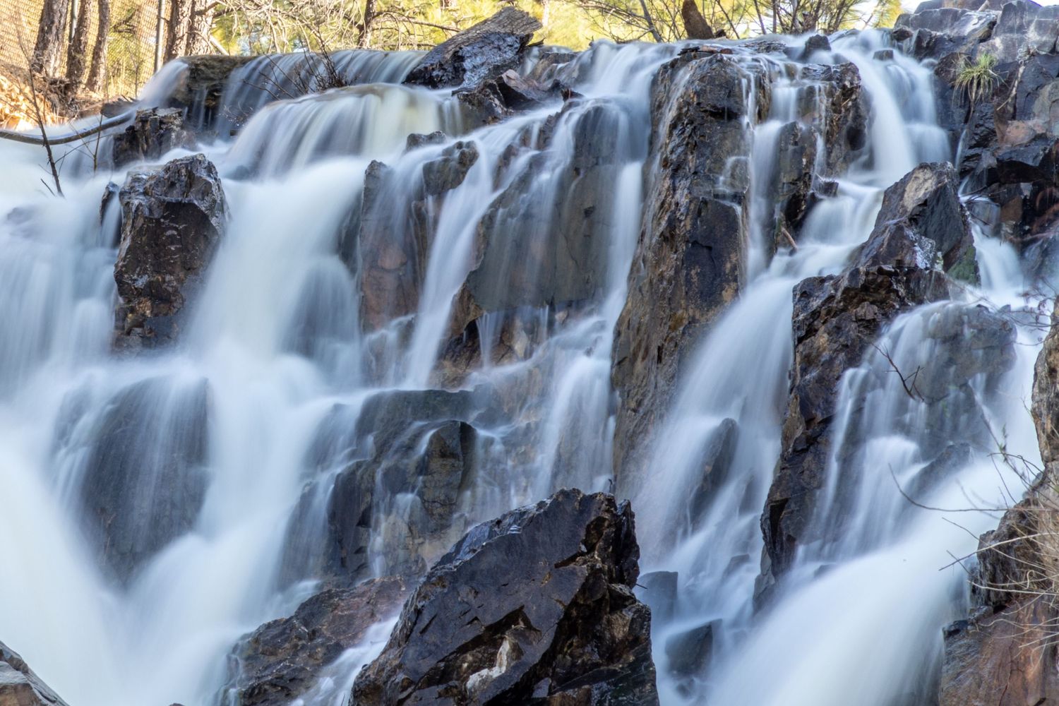 prescott photographer