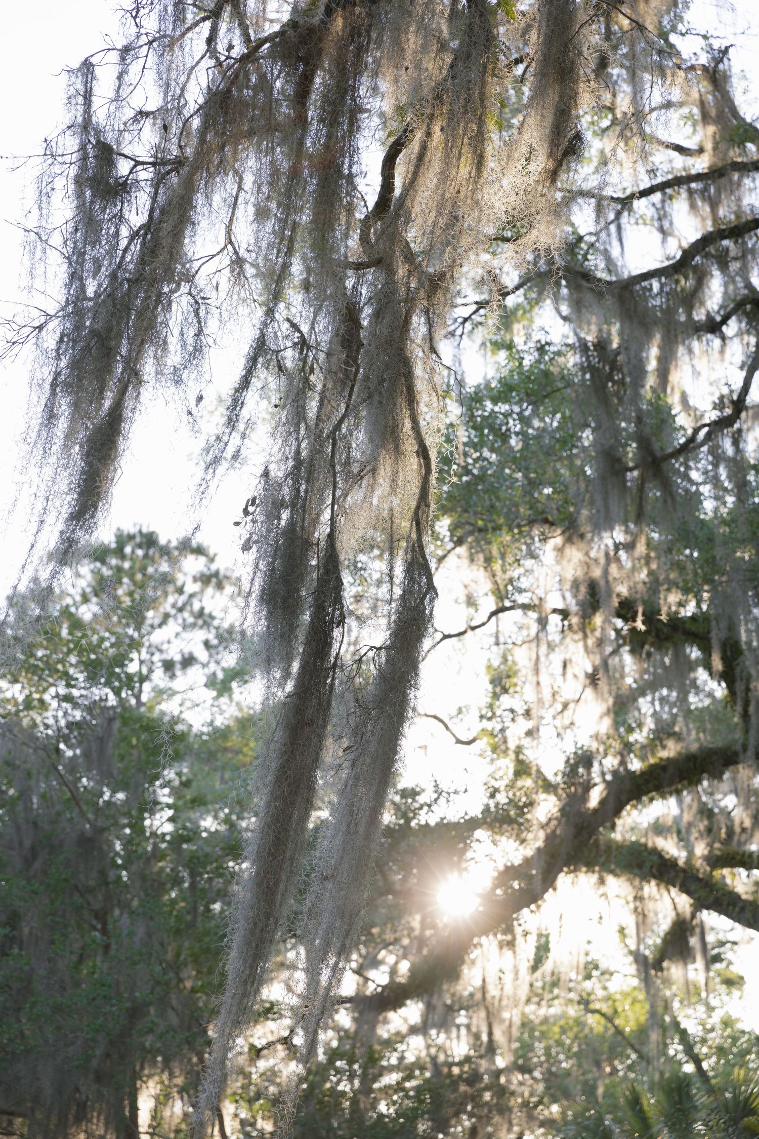 A couple in formal wedding attire poses together outdoors at sunset against a scenic backdrop.