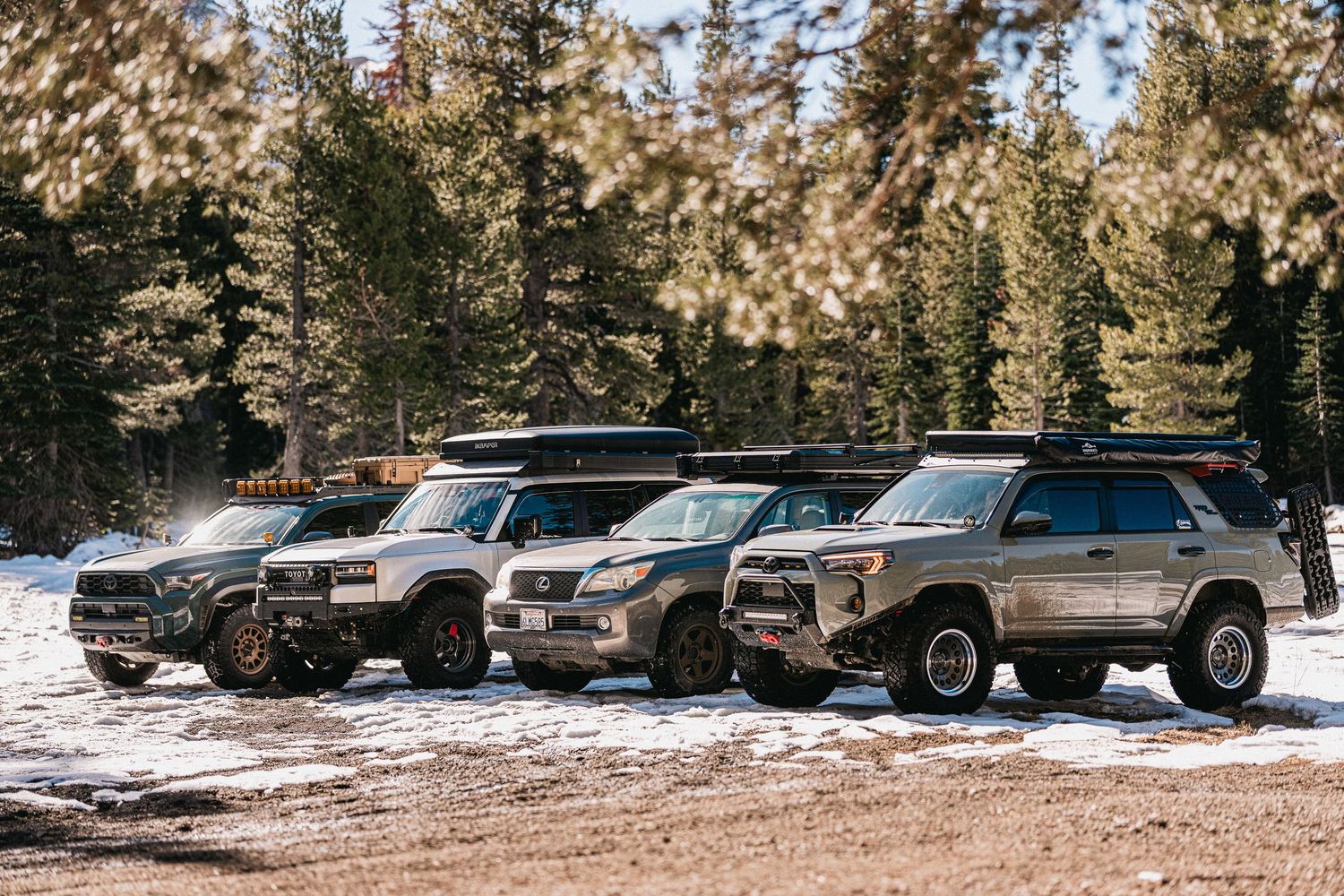 A lineup of off-road vehicles parked in snowy terrain with pine trees in the background.