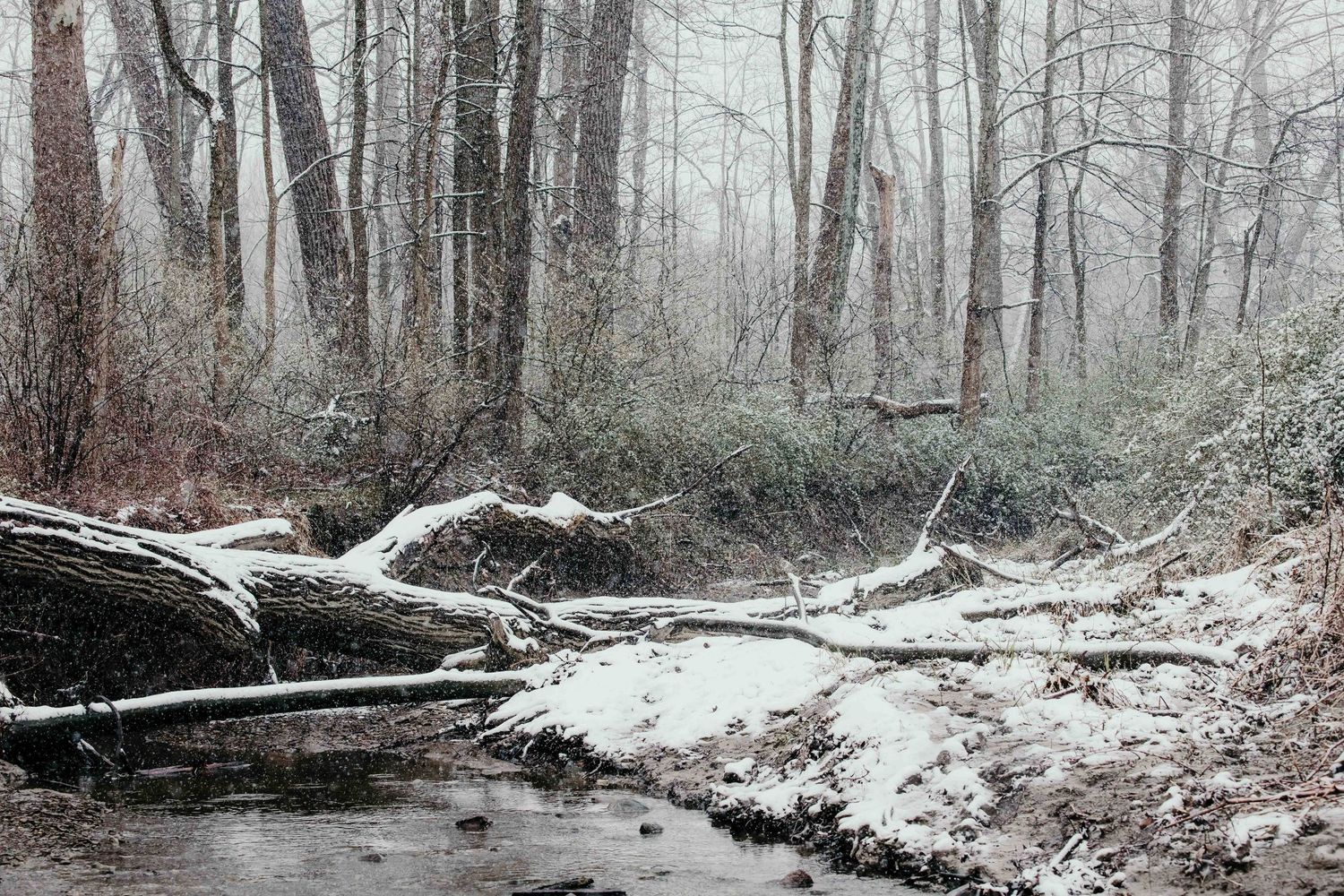 A quiet location in the Cleveland Metroparks near Squire's castle during a snowfall in the wintertime.