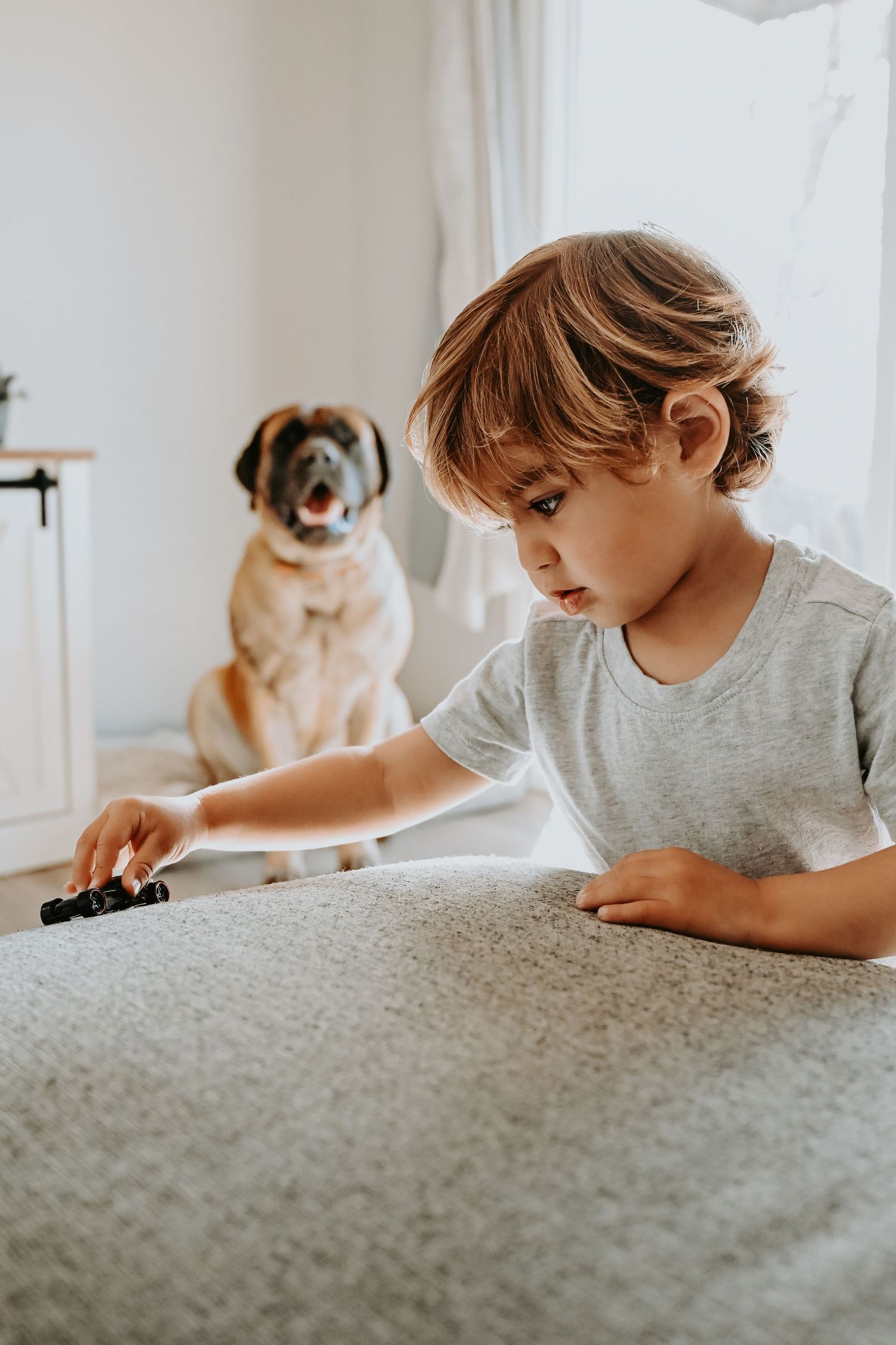 Child playing at table with pug dog watching curiously in background.